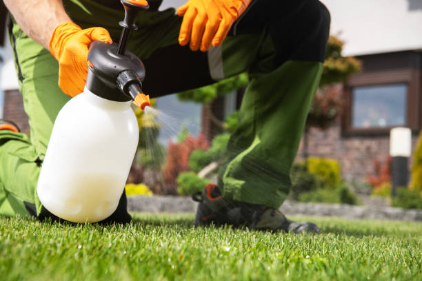 Professional Pest Control in Lafayette, OR